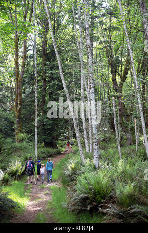 CANADA, Vancouver, British Columbia, family walks through the rainforest on Gambier Island, in the Howe Sound Stock Photo