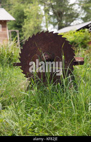 CANADA, Vancouver, British Columbia, an old rusty saw blade in the tall grass on Gambier Island, in the Howe Sound Stock Photo
