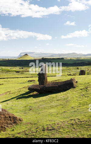 EASTER ISLAND, CHILE, Isla de Pascua, Rapa Nui, Rano Raraku is a volcanic crater on the lower slopes of Terevaka, it supplied nearly 95% of the island Stock Photo