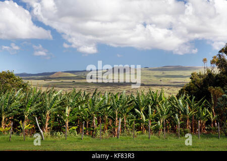 EASTER ISLAND, CHILE, Isla de Pascua, Rapa Nui, some of the beautiful scenery located all around Easter Island Stock Photo