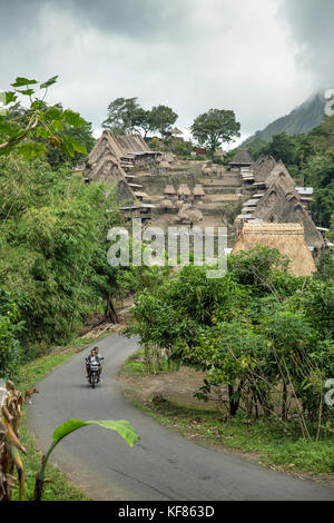 INDONESIA, Flores, INDONESIA, Flores, Bena village, man on a motorbike driving away from rows of traditional houses on a hillside Stock Photo