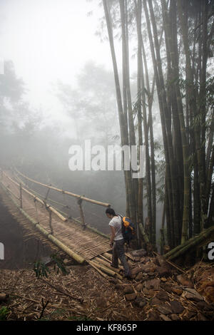 INDONESIA, Flores, a woman ventures across a bamboo walking bridge on the way to Wae Rebo Village Stock Photo