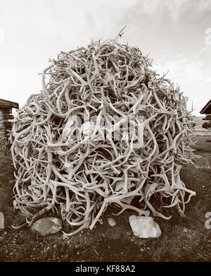 USA, Wyoming, large pile of elk horns, Old Trail Town, Cody (B&W) Stock Photo