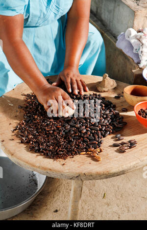 BELIZE, Punta Gorda, Village of San Pedro Colombia, grinding and removing the hard baked outer shell of the Cacao beans, making chocolate Stock Photo
