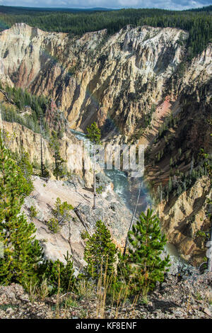 The colourful Grand canyon of the Yellowstone, Yellowstone National Park, Wyoming, USA Stock Photo
