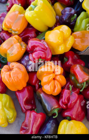 USA, Oregon, Ashland, Barking Moon Farm bell peppers for sale at the Rogue Valley Growers and Crafters Market Stock Photo