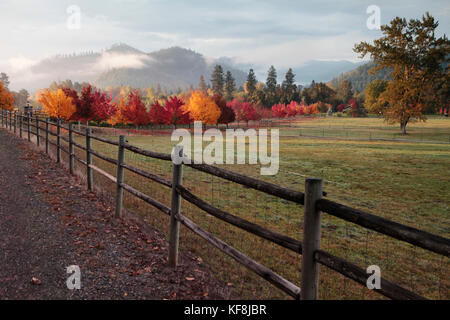 USA, Oregon, Medford, Buren Vineyard Stock Photo