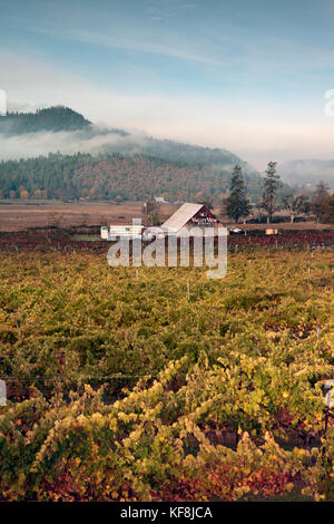 USA, Oregon, Medford, Valley View Winery is in Southern Oregon Rouge Valley and spans twelve acres, they primarily use grapes from the Applegate and B Stock Photo