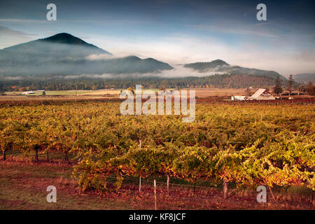 USA, Oregon, Medford, Valley View Winery is in Southern Oregon Rouge Valley and spans twelve acres, they primarily use grapes from the Applegate and B Stock Photo