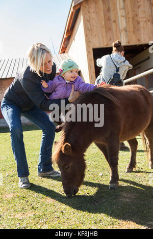 USA, Oregon, Bend, young kids get to pet the farm animals at the annual pumpkin patch located in Terrebone near Smith Rock State Park Stock Photo