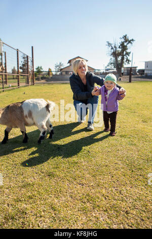 USA, Oregon, Bend, young kids get to pet the farm animals at the annual pumpkin patch located in Terrebone near Smith Rock State Park Stock Photo