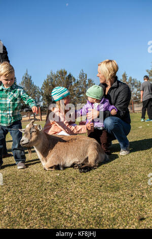 USA, Oregon, Bend, young kids get to pet the farm animals at the annual pumpkin patch located in Terrebone near Smith Rock State Park Stock Photo