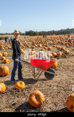 USA, Oregon, Bend, a mother wheels around her two kids as they sit inside a wheelbarrow at the annual pumpkin patch located in Terrebone near Smith Ro Stock Photo