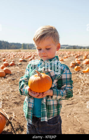 USA, Oregon, Bend, a young boy chooses a pumpkin at the annual pumpkin patch located in Terrebone near Smith Rock State Park