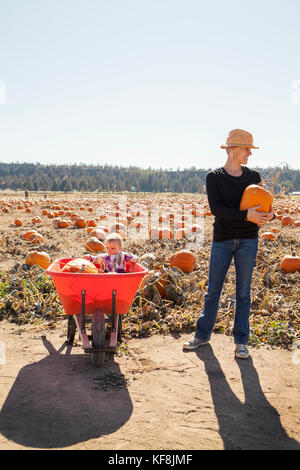 USA, Oregon, Bend, a young family chooses pumpkins at the annual pumpkin patch located in Terrebone near Smith Rock State Park Stock Photo