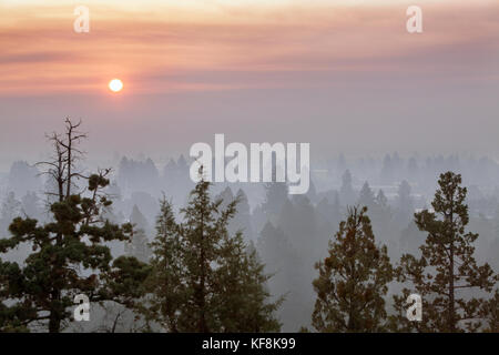 USA, Oregon, Bend, a view through the smoke of the tops of the trees as the sun sets Stock Photo