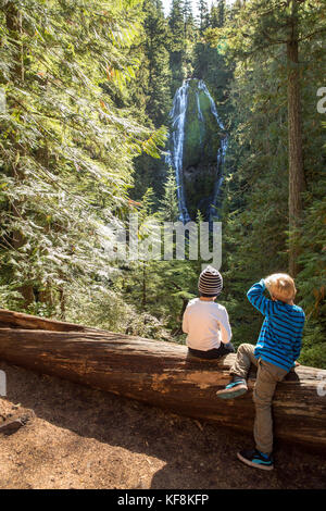 USA, Oregon, Oregon Cascades, young boys hike and check out the upper Proxy Falls in the Wilamette National Forest in the early Fall, McKenzie Pass