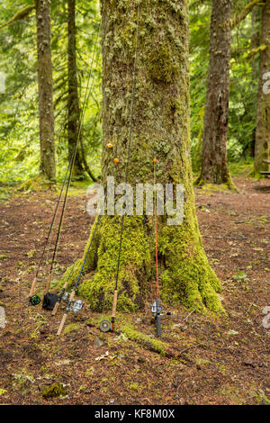 USA, Oregon, Santiam River, Brown Cannon, fishing poles rested against a tree in the campground Stock Photo