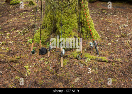 USA, Oregon, Santiam River, Brown Cannon, fishing poles rested against a tree in the campground Stock Photo