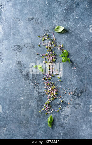 Young radish sprouts with pink himalayan salt and basil leaves over blue texture background. Top view with copy space. Healthy diet concept, food back Stock Photo