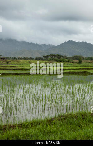 PHILIPPINES, Palawan, Puerto Princesa, Iwahig Prison Penal Farm Stock Photo