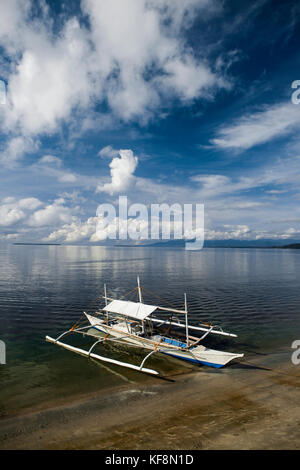 PHILIPPINES, Palawan, Rojas, the view just behind a gas station in the first municipality of Puerto Princessa, Rojas, on the drive from Sabang to El N Stock Photo