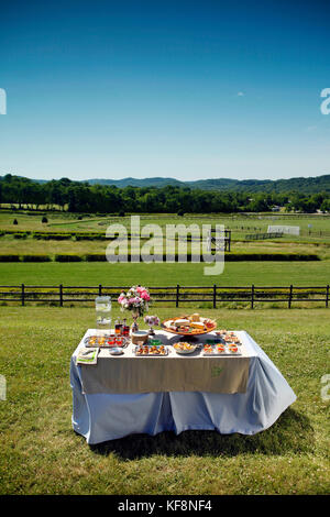 USA, Tennessee, Nashville, Iroquois Steeplechase, buffet table adorned with food Stock Photo