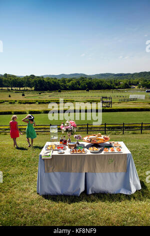 USA, Tennessee, Nashville, Iroquois Steeplechase, buffet table adorned with food Stock Photo