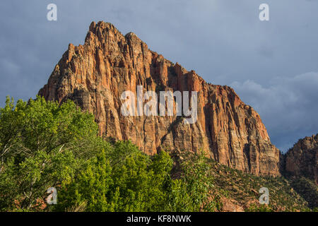 Late sunlight glowing on the rocks of the Zion National Park, Utah, USA Stock Photo