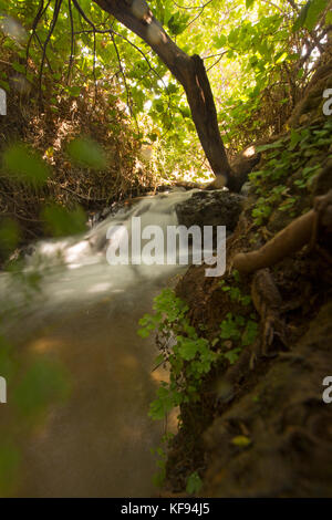 Hermon Stream Nature reserve (Banias) Golan Heights Israel This stream is one of the sources of the Jordan River Stock Photo