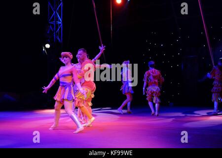 circus sway pole trapeze artist Stock Photo