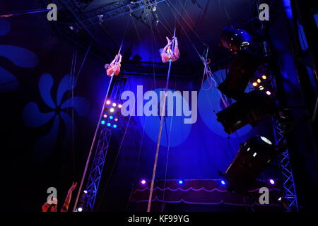 circus sway pole trapeze artist Stock Photo