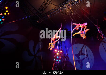 circus sway pole trapeze artist Stock Photo