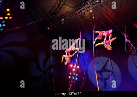 circus sway pole trapeze artist Stock Photo