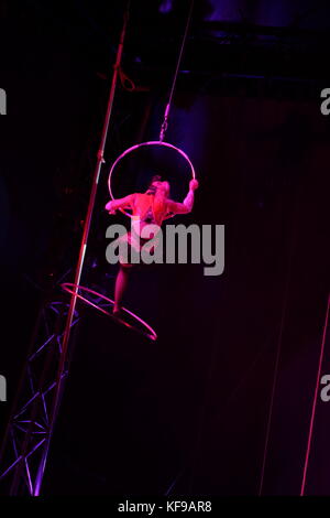 circus sway pole trapeze artist Stock Photo