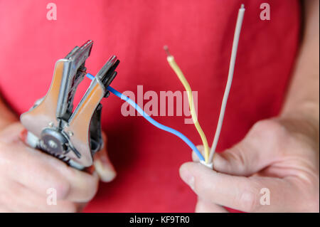 Wire stripping and removing insulation from the live wire of a 3-core cable. Stock Photo