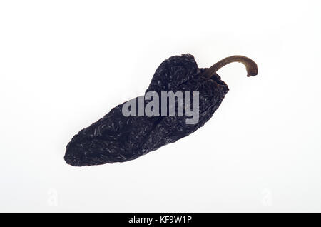 Dried ancho chili pepper Stock Photo