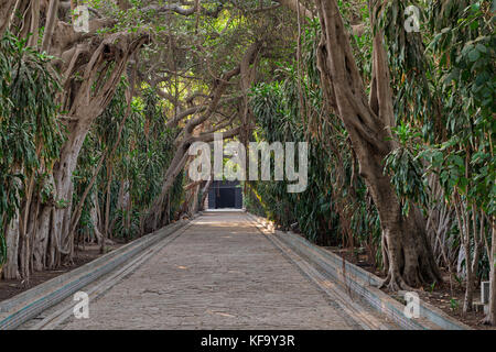 Passage through trees leading to closed door at the public park of The Manial Palace of Prince Mohammed Ali Tewfik, Cairo, Egypt Stock Photo