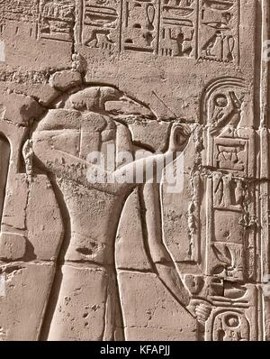 Thoth, the Ancient Egyptian God of writing, wisdom and magic poses ...
