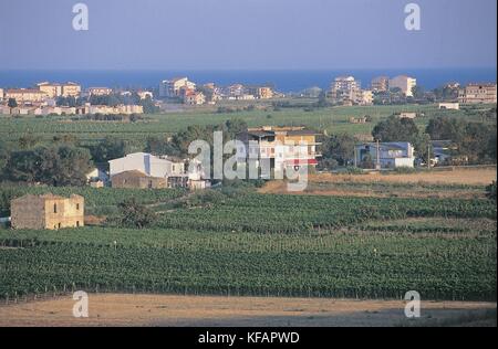 Italy Calabria Region Ciro Marina Vineyards Stock Photo Alamy