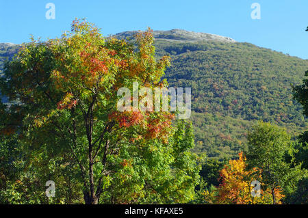 colors in autumn: Trees in the Aurunci Mountains (Monti Aurunci), Italy Stock Photo