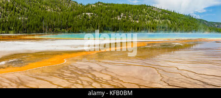 Terraces fan out from vivid colors of the Grand Prismatic Spring in Yellowstone National Park, Wyoming.