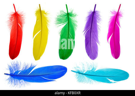 Bright feathers background Stock Photo