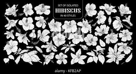Set of isolated white silhouette hibiscus in 40 styles .Cute hand drawn flower vector illustration in white plane and no outline on black background. Stock Vector