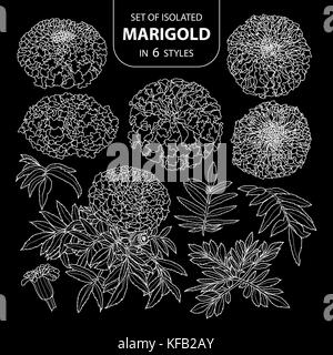 Set of isolated marigold in 6 styles. Cute hand drawn flower vector illustration only white outline on black background. Stock Vector