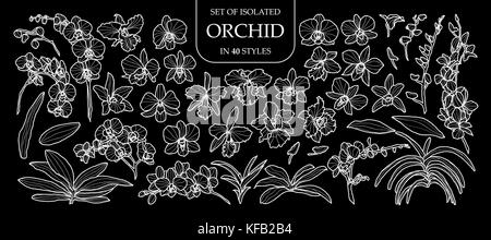 Set of isolated orchid in 40 styles. Cute hand drawn flower vector illustration only white outline on black background. Stock Vector