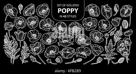 Set of isolated poppy in 42 styles. Cute hand drawn flower vector illustration only white outline on black background. Stock Vector