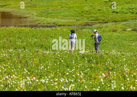 Photographers at Tipsoo Lake on the Mather Memorial Parkway in Mount Rainier National Park Washington in the Umited States Stock Photo