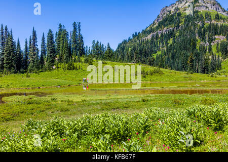Tipsoo Lake on the Mather Memorial Parkway in Mount Rainier National Park Washington in the Umited States Stock Photo