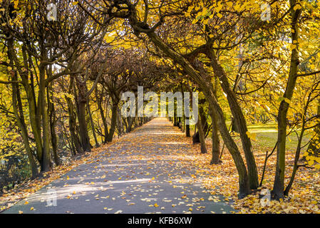 Autumn scenery in the Oliwski park. Park is favorite tourist destination in Gdansk. Poland Stock Photo